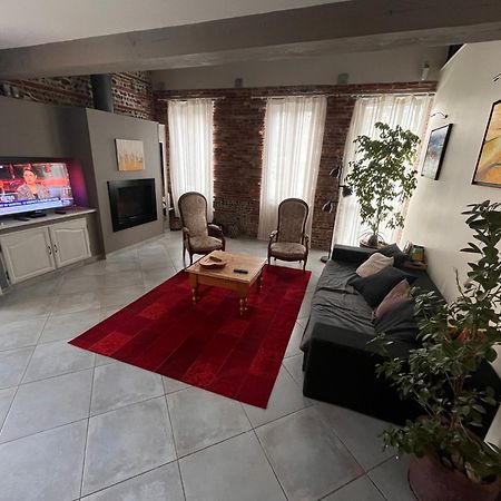 Magnifique Maison Toulousaine ตูลูส ภายนอก รูปภาพ