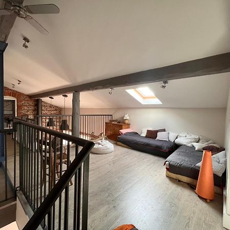 Magnifique Maison Toulousaine ตูลูส ภายนอก รูปภาพ