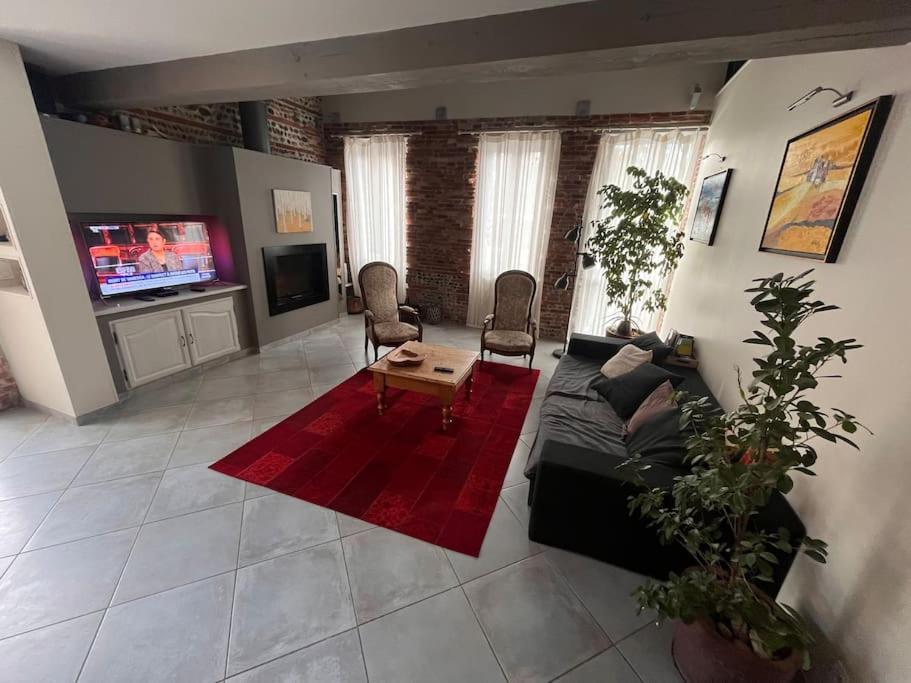 Magnifique Maison Toulousaine ตูลูส ภายนอก รูปภาพ